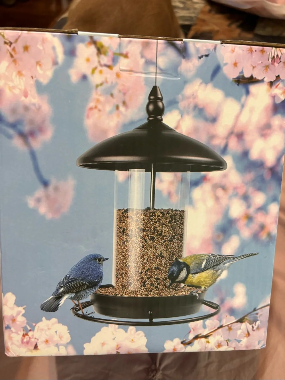 Outdoor Black Hanging Bird Feeder with Clear Seed Reservoir